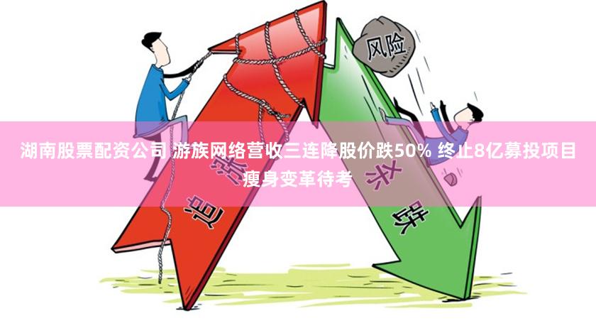 湖南股票配资公司 游族网络营收三连降股价跌50% 终止8亿募投项目瘦身变革待考