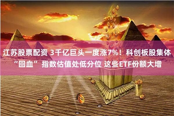 江苏股票配资 3千亿巨头一度涨7%！科创板股集体“回血” 指数估值处低分位 这些ETF份额大增