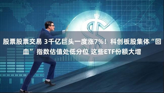 股票股票交易 3千亿巨头一度涨7%！科创板股集体“回血” 指数估值处低分位 这些ETF份额大增