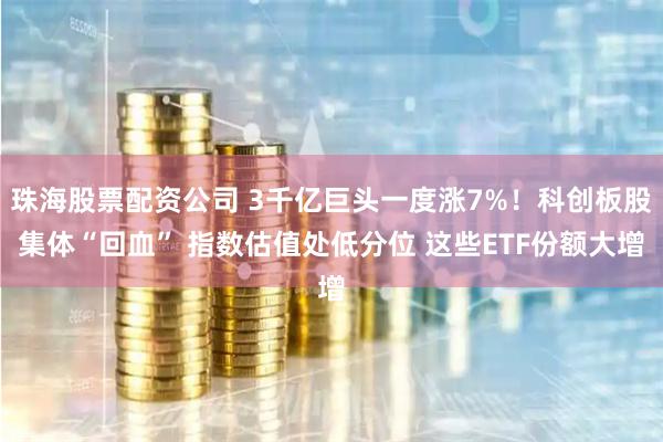珠海股票配资公司 3千亿巨头一度涨7%！科创板股集体“回血” 指数估值处低分位 这些ETF份额大增