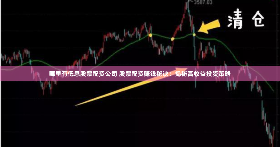 哪里有低息股票配资公司 股票配资赚钱秘诀：揭秘高收益投资策略