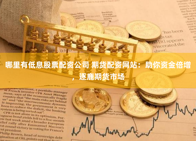 哪里有低息股票配资公司 期货配资网站：助你资金倍增，逐鹿期货市场