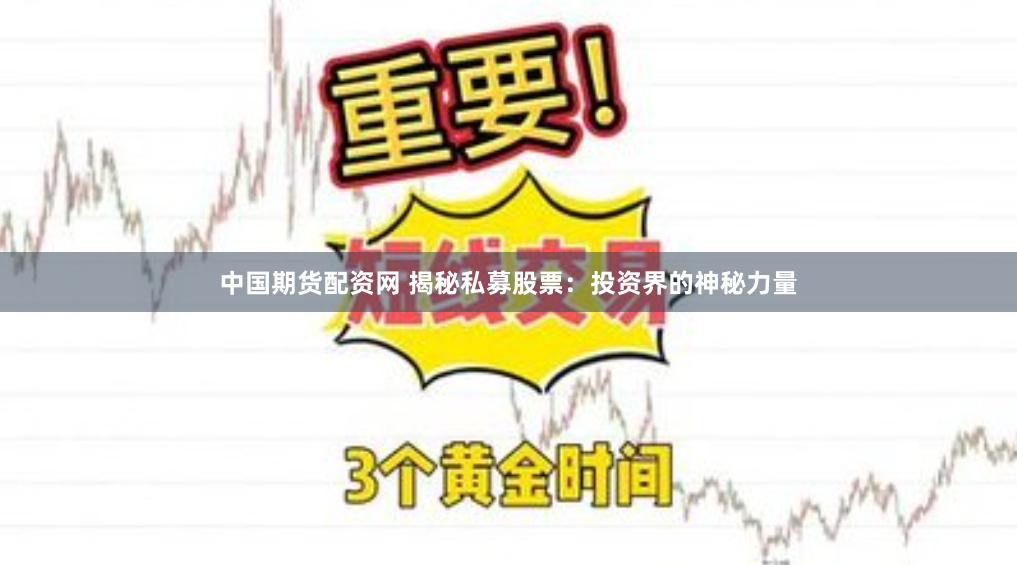 中国期货配资网 揭秘私募股票：投资界的神秘力量