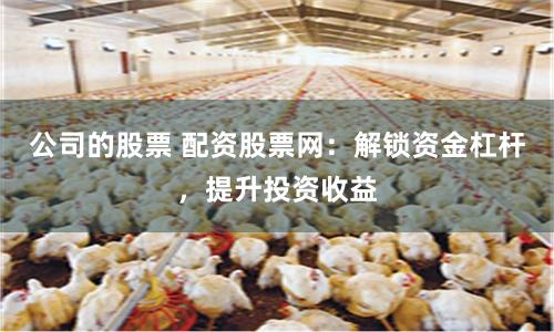 公司的股票 配资股票网：解锁资金杠杆，提升投资收益