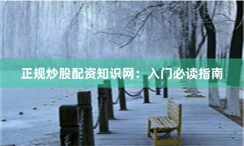 正规炒股配资知识网：入门必读指南
